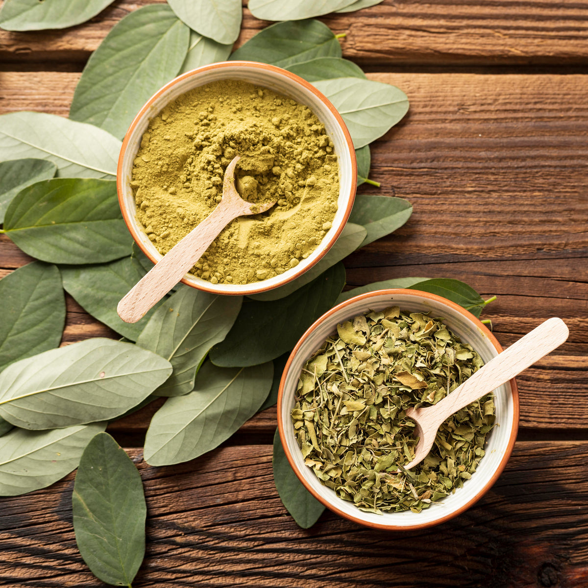 How to Make Moringa Leaf Powder at Home: A Complete Ayurvedic Guide