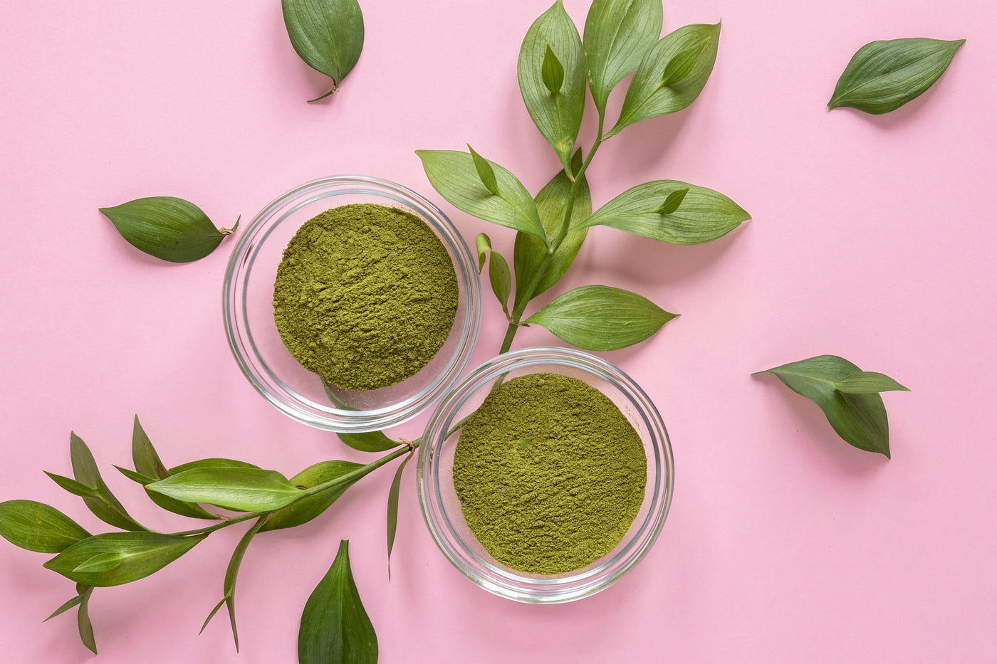 Moringa Powder Benefits for Females: The Complete Ayurvedic Superfood for Women’s Wellness