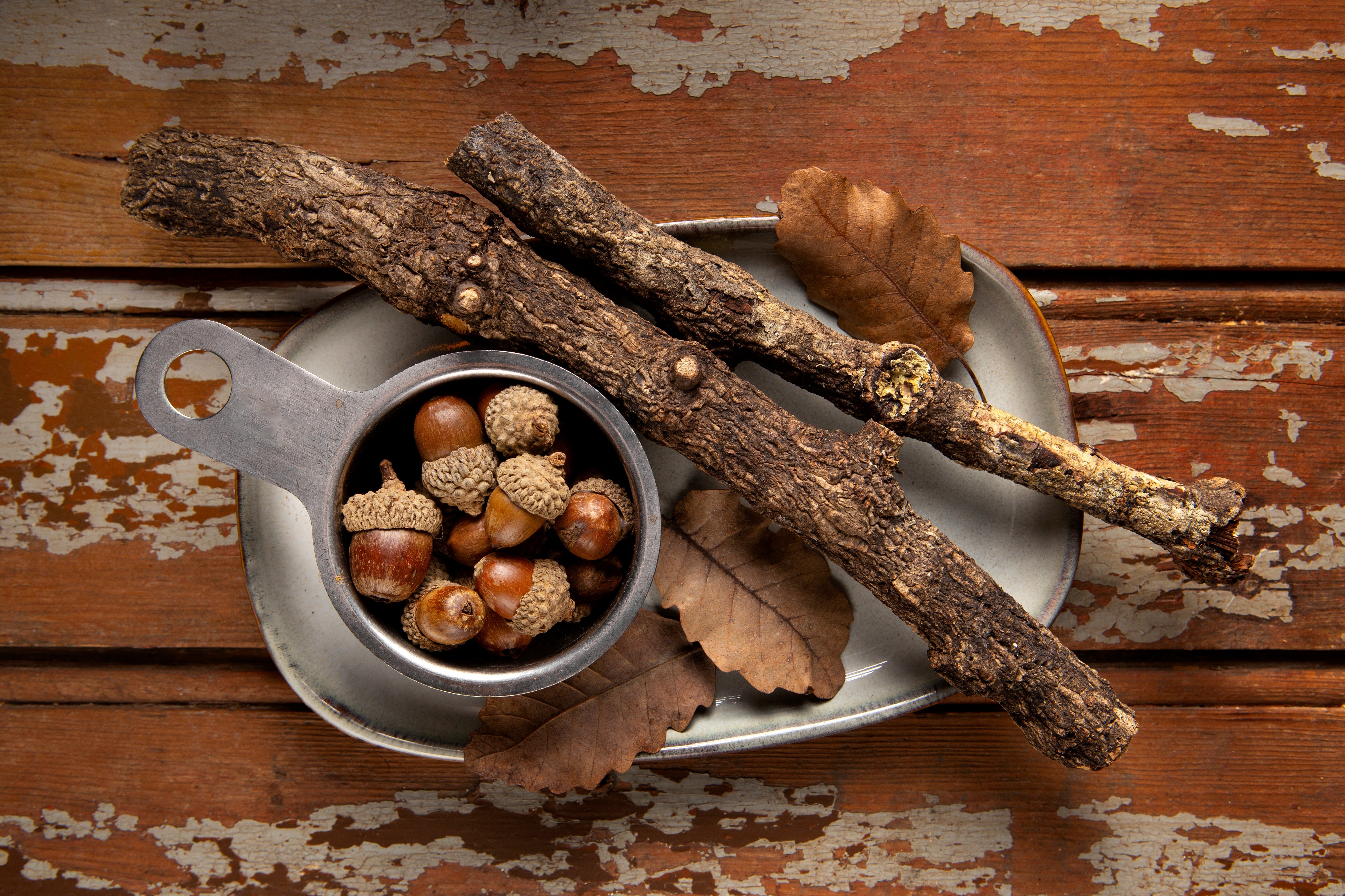 ashwagandha and testosterone
