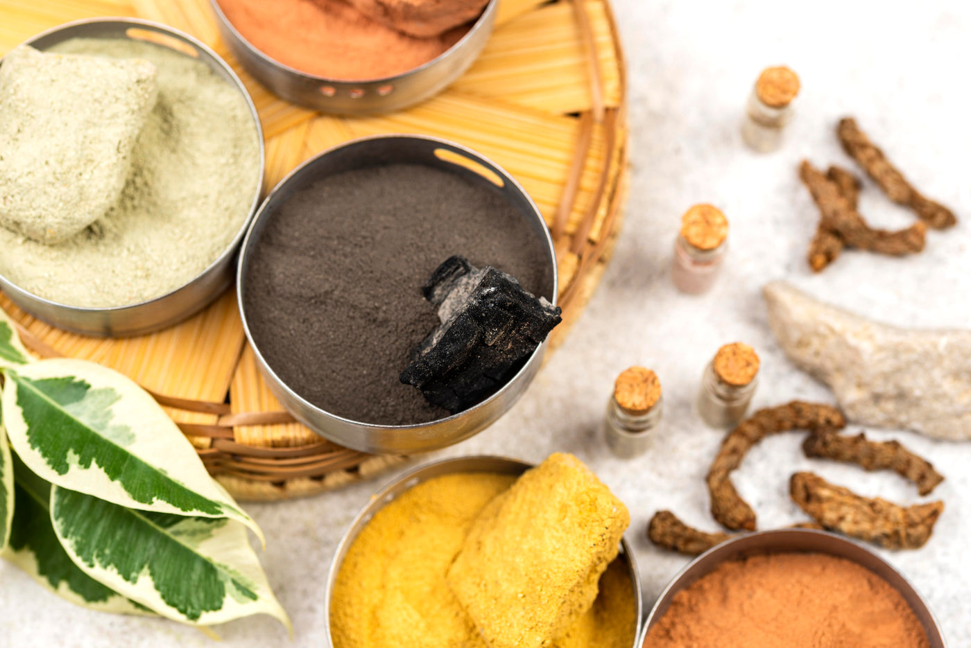 Shilajit vs Ashwagandha,  Which Is Better for Your Health