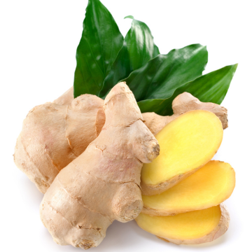Ginger