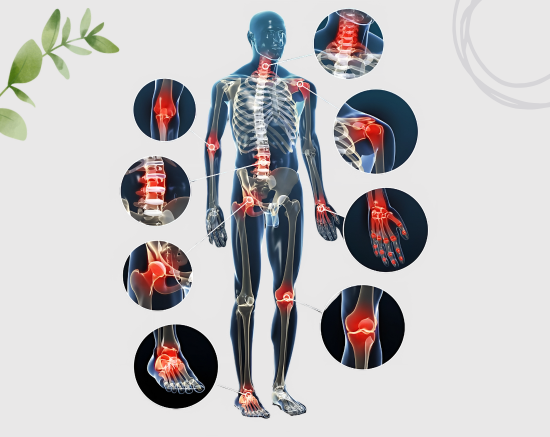 Helps Maintain Bone Health
