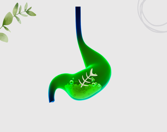 Helps in Detoxification and Cleansing