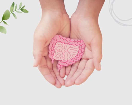 Improves Your Gut Health