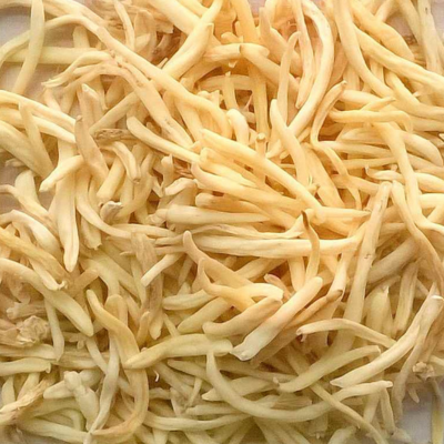 Safed Musli