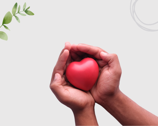 Helps in Healthy Functioning of Heart