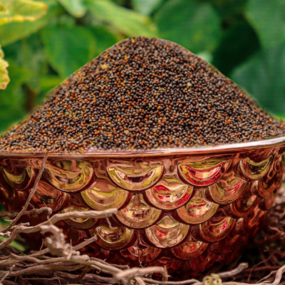Khurasani Ajwain